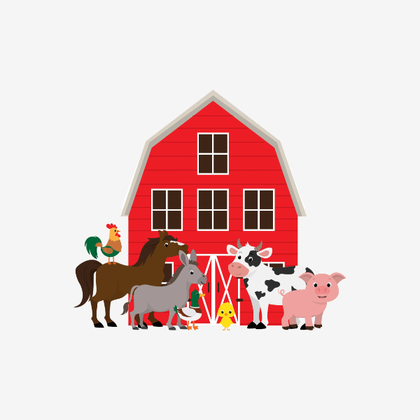 Vijverhof boerderij bezoek