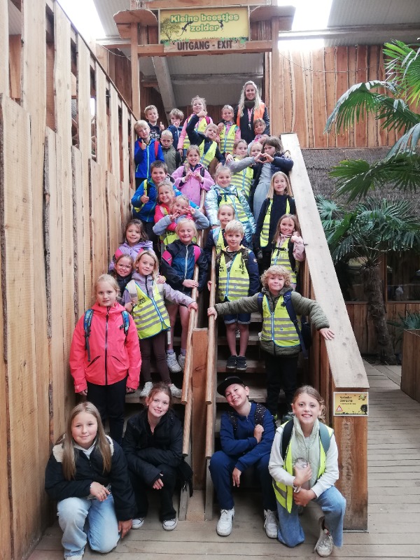 Week 2-6 juni