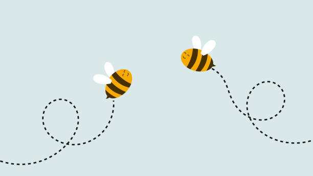 8 - 12 september: Bijzondere bijtjes!