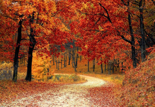 Planning herfst thema