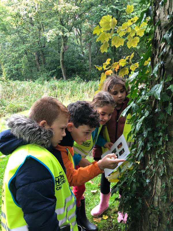 Op stap in het bos