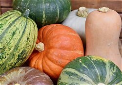 Weekbericht 23 oktober 2026